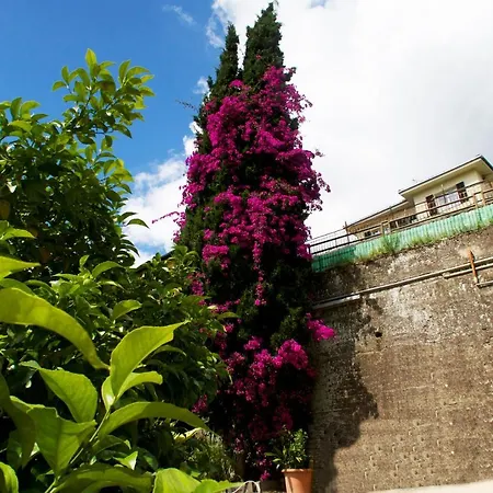 La Casa Rosa شقة *